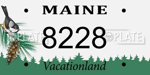8228 Maine License Plate