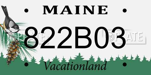 822B03 Maine License Plate