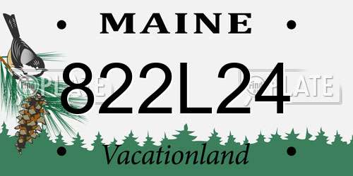 822L24 Maine License Plate