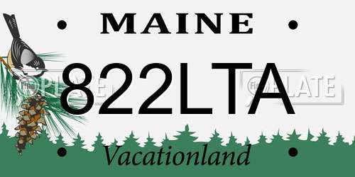 822LTA Maine License Plate