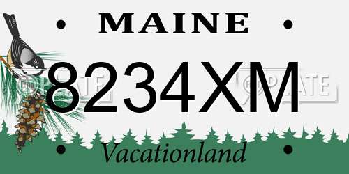 8234XM Maine License Plate