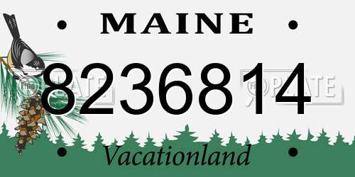 8236814 Maine License Plate