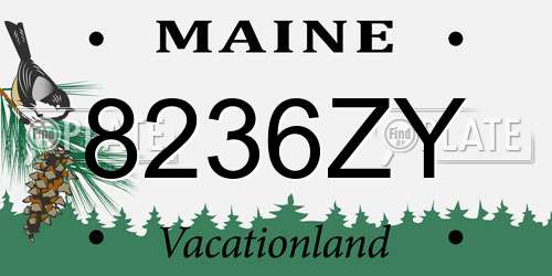8236ZY Maine License Plate