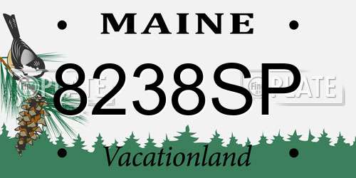 8238SP Maine License Plate