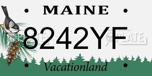 8242YF Maine License Plate