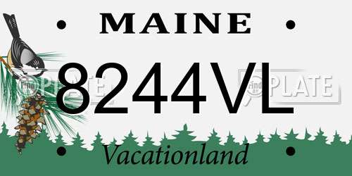 8244VL Maine License Plate