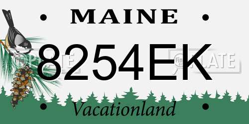 8254EK Maine License Plate