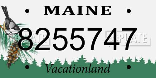8255747 Maine License Plate