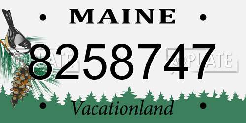 8258747 Maine License Plate