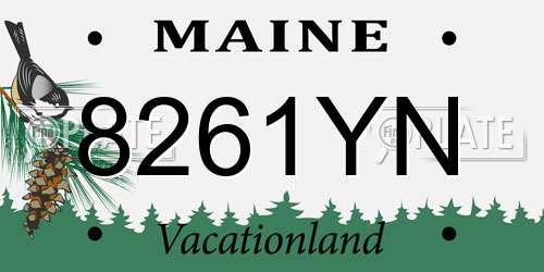 8261YN Maine License Plate