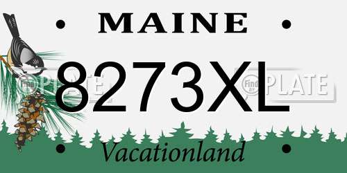 8273XL Maine License Plate