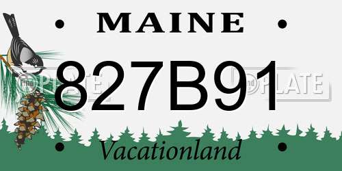 827B91 Maine License Plate