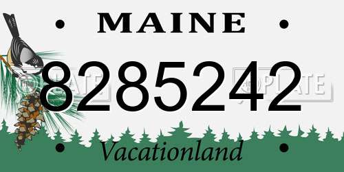 8285242 Maine License Plate
