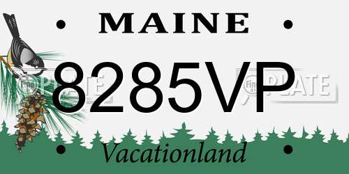 8285VP Maine License Plate