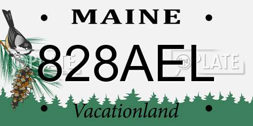 828AEL Maine License Plate
