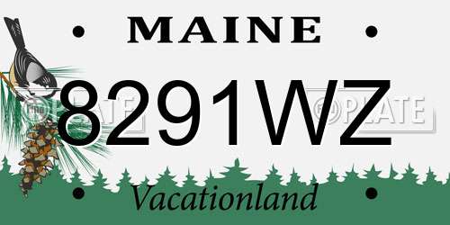 8291WZ Maine License Plate