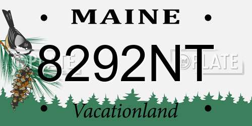 8292NT Maine License Plate