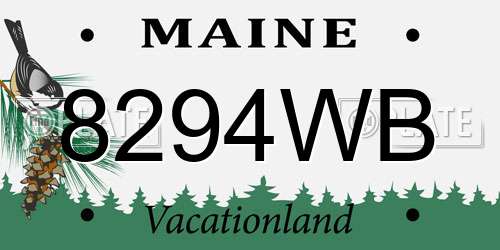 8294WB Maine License Plate