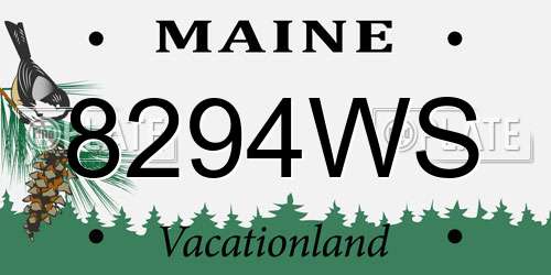 8294WS Maine License Plate