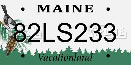 82LS233 Maine License Plate