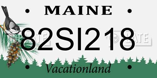 82SI218 Maine License Plate