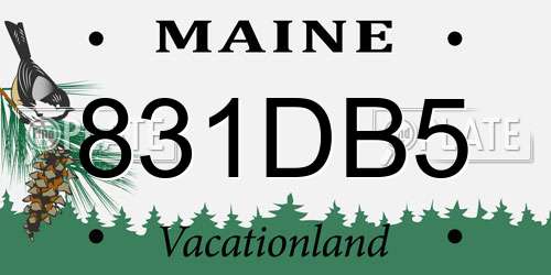 831DB5 Maine License Plate