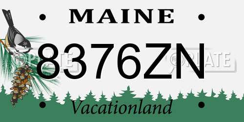 8376ZN Maine License Plate