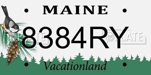 8384RY Maine License Plate