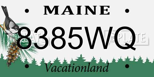 8385WQ Maine License Plate