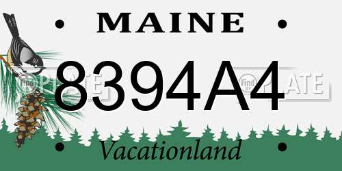 8394A4 Maine License Plate