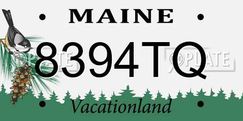 8394TQ Maine License Plate