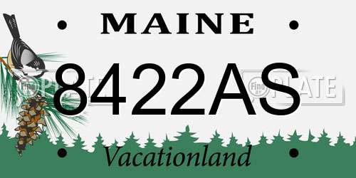 8422AS Maine License Plate