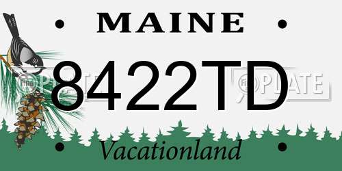 8422TD Maine License Plate