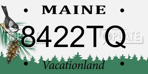 8422TQ Maine License Plate
