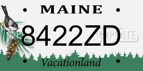 8422ZD Maine License Plate