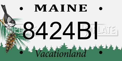 8424BI Maine License Plate