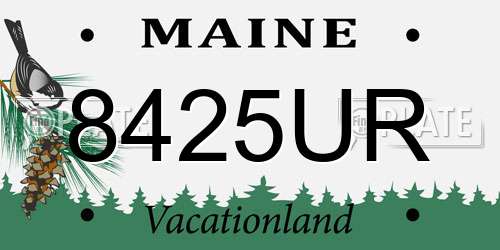8425UR Maine License Plate