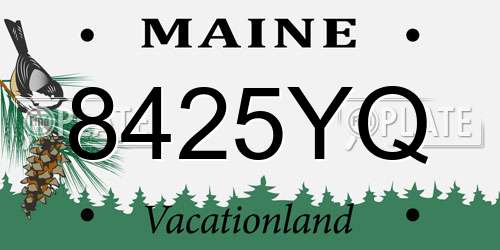 8425YQ Maine License Plate