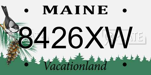 8426XW Maine License Plate