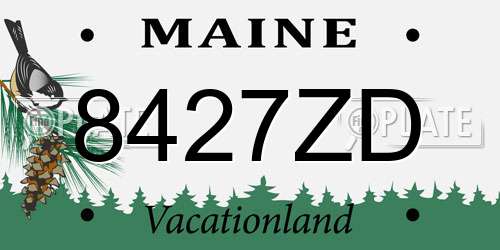 8427ZD Maine License Plate