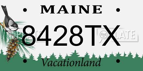 8428TX Maine License Plate