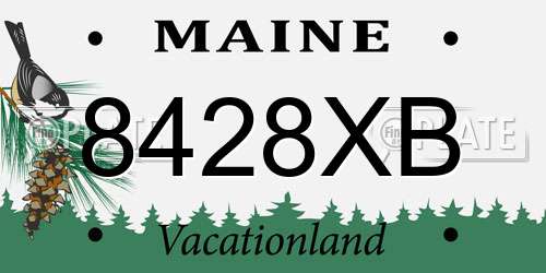 8428XB Maine License Plate
