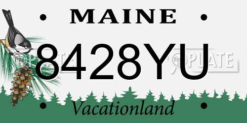 8428YU Maine License Plate