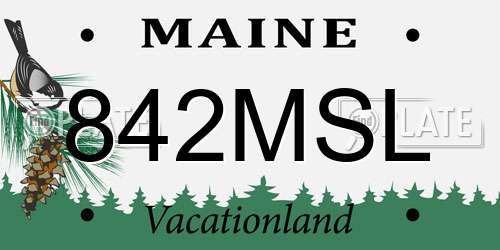 842MSL Maine License Plate