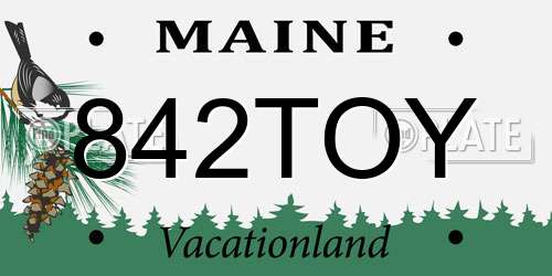 842TOY Maine License Plate