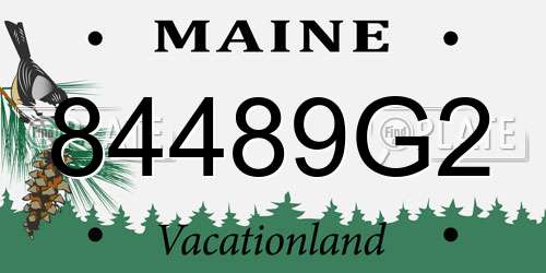 84489G2 Maine License Plate