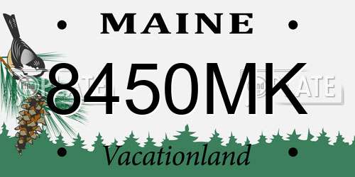 8450MK Maine License Plate