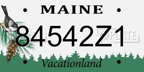 84542Z1 Maine License Plate