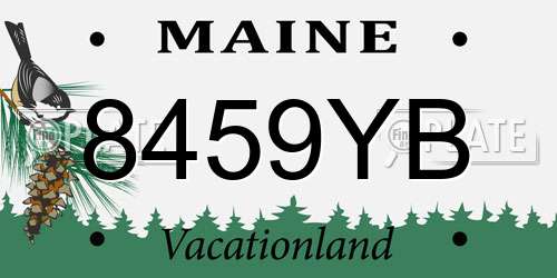 8459YB Maine License Plate