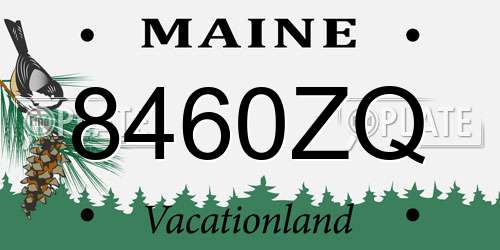 8460ZQ Maine License Plate